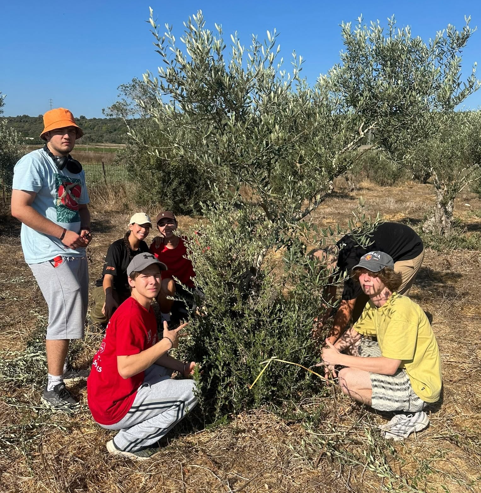 בני נוער ליד עץ זית בטיול